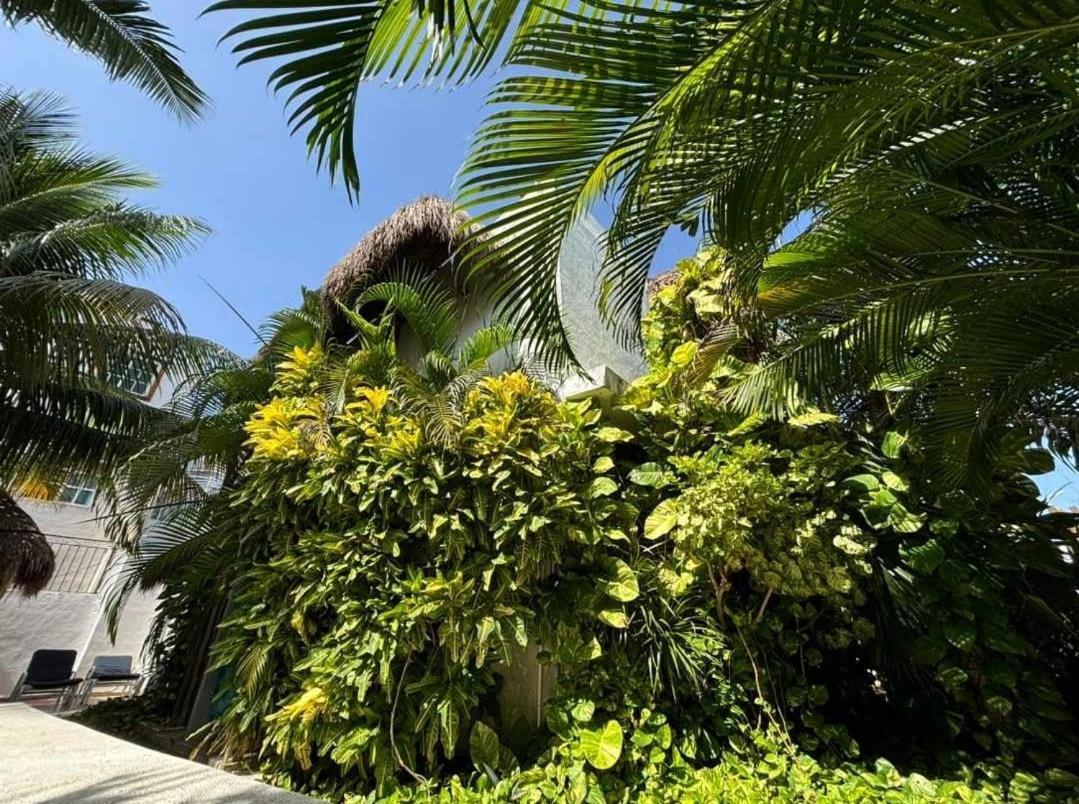 Appartamento Casa Nona Rosa Cancún Esterno foto